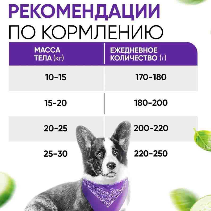 Delicana сухой корм для собак средних пород 2 кг индейка с овощами (1*6)